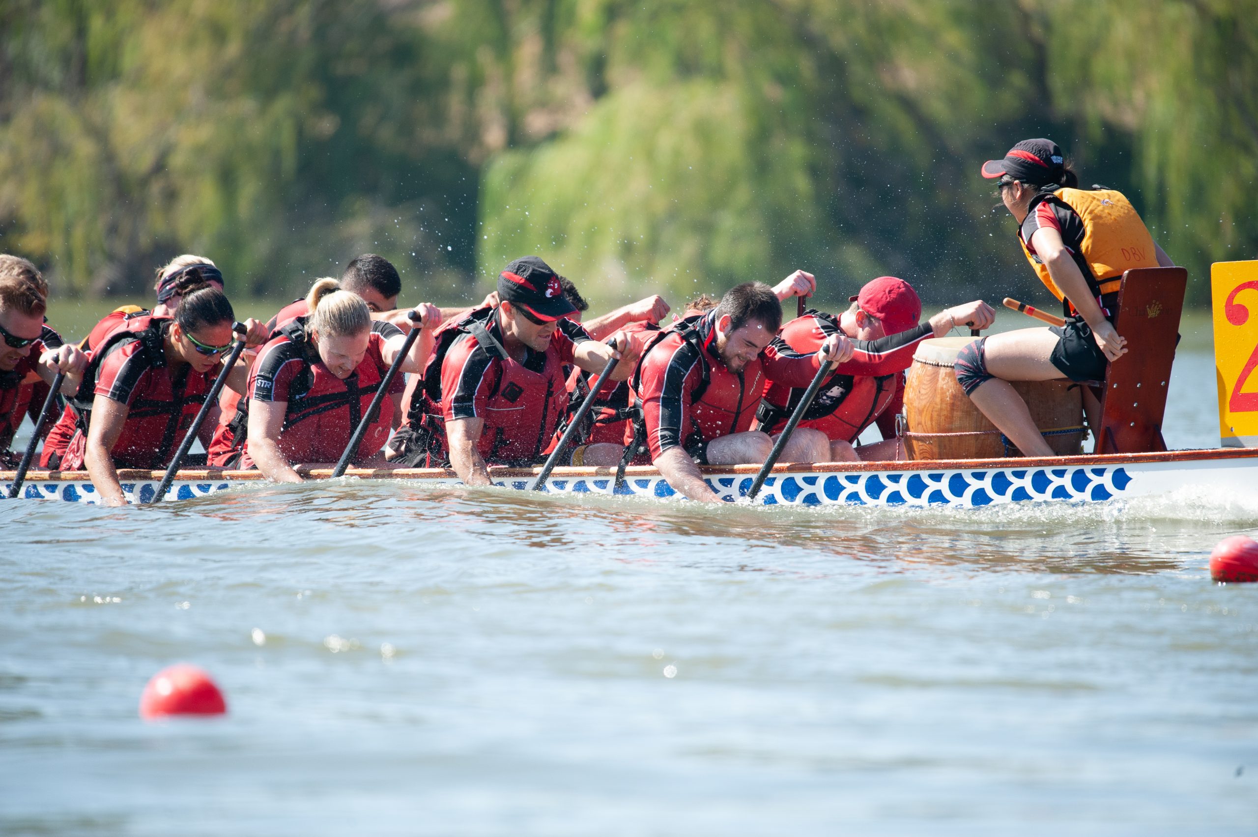 The Paddlers In A Dragon Boat Racing Team | Yarra River Dragons Dragon ...